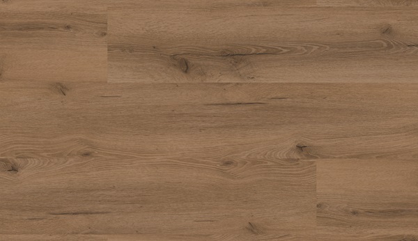 Floor Forever Authentic Oak Dub vvodsk 2040