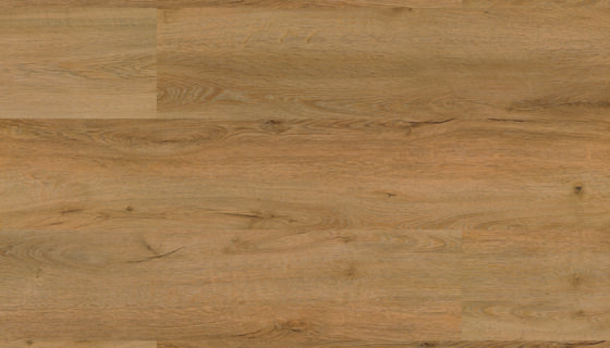 Floor Forever Authentic Oak Click 0,55 Dub krlovsk 1020