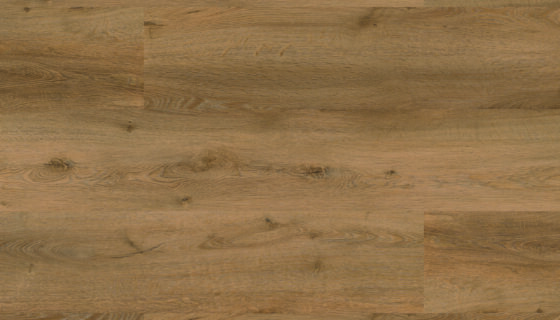 Floor Forever Authentic Oak Click 0,55 Dub csask 1040