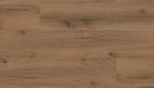 Floor Forever Authentic Oak Dub vvodsk 2040 310