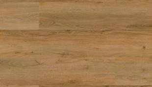 Floor Forever Authentic Oak Click 0,55 Dub krlovsk 1020 310