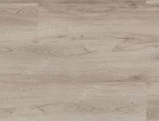 Floor Forever Authentic Oak Click 0,55 Dub hrabc 1010 310